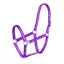Shires Wessex Nylon Headcollar - Purple